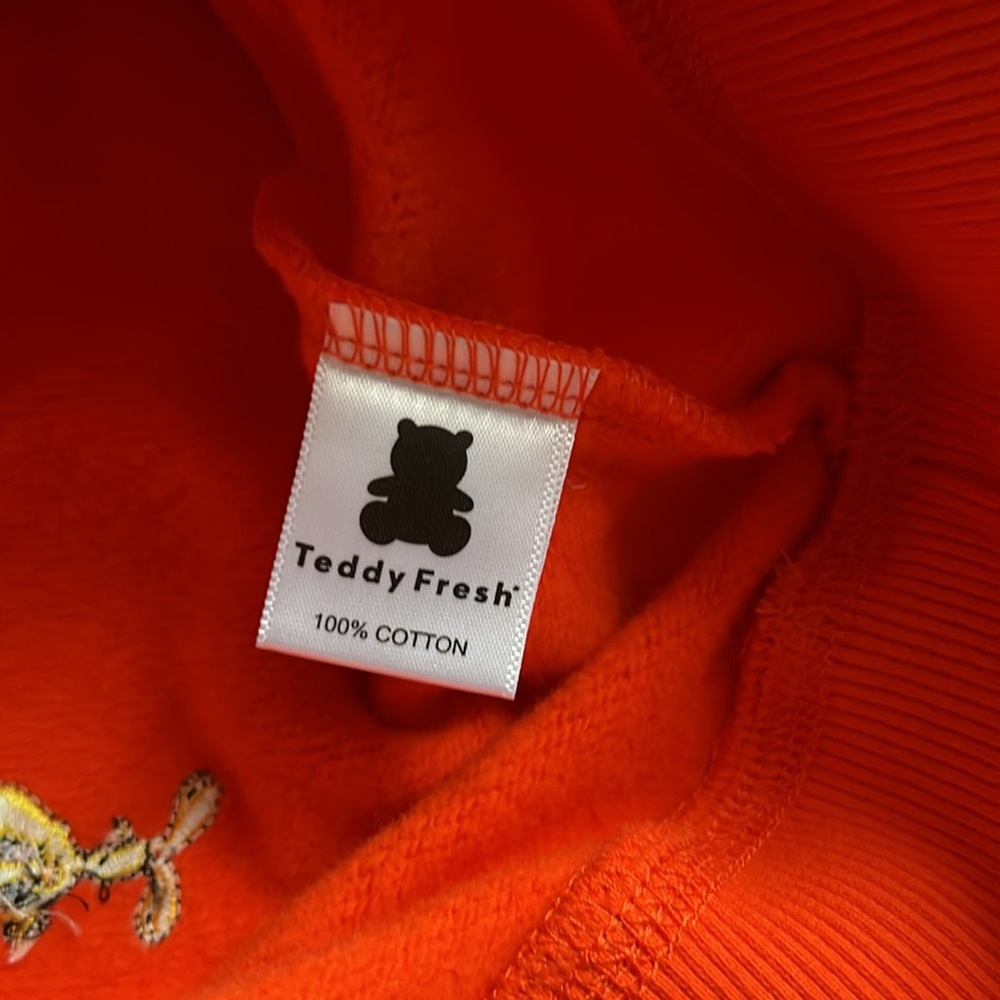 Teddy Fresh Looney Tunes Tweety Bird Embroidered Hoodie - Picture 8 of 8